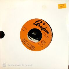 Zeki Müren - İçtim İçlendim 45lik