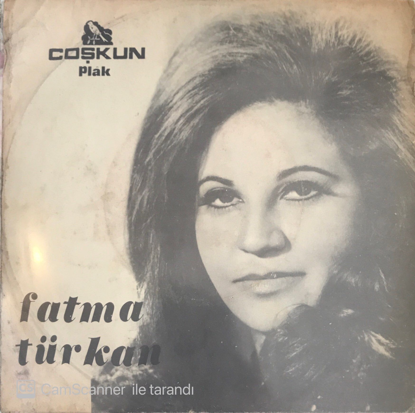 Fatma Türkan - İbibikler (Kışlada Bahar) 45lik