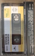 Stevie B Love and Emotion KASET