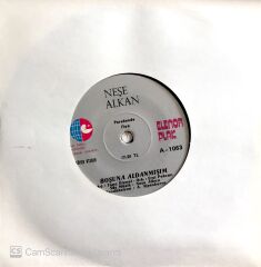 Neşe Alkan / Boşuna Aldanmışım 45'lik
