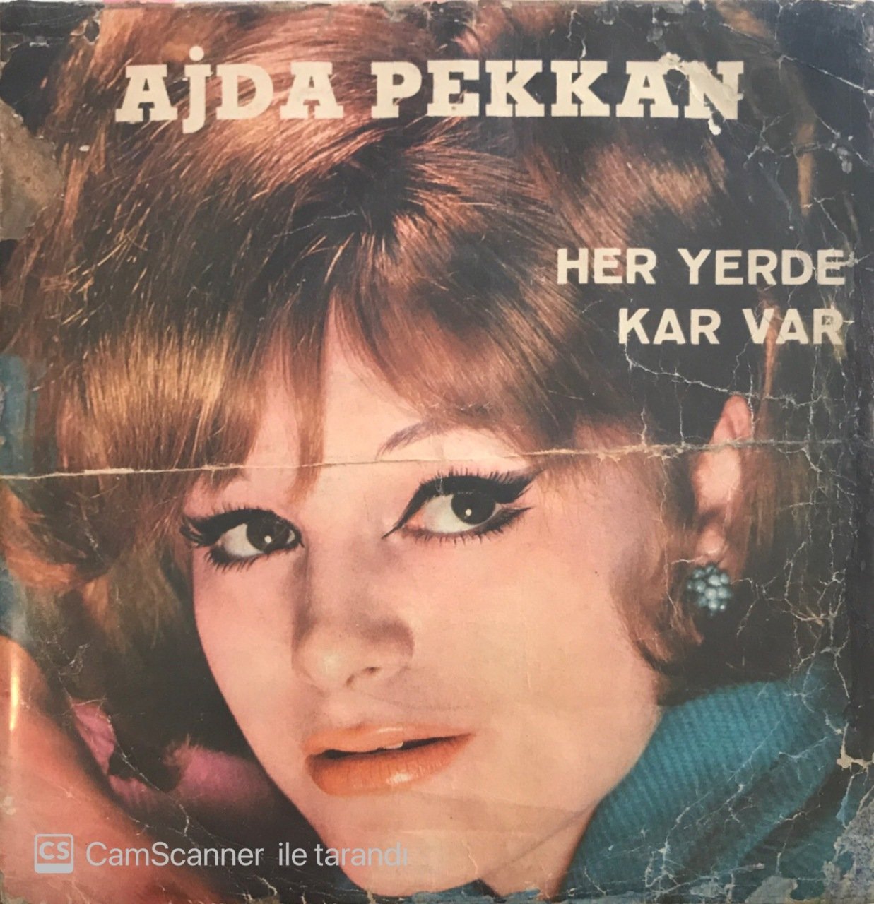Ajda Pekkan Her Yerde Kar Var 45lik