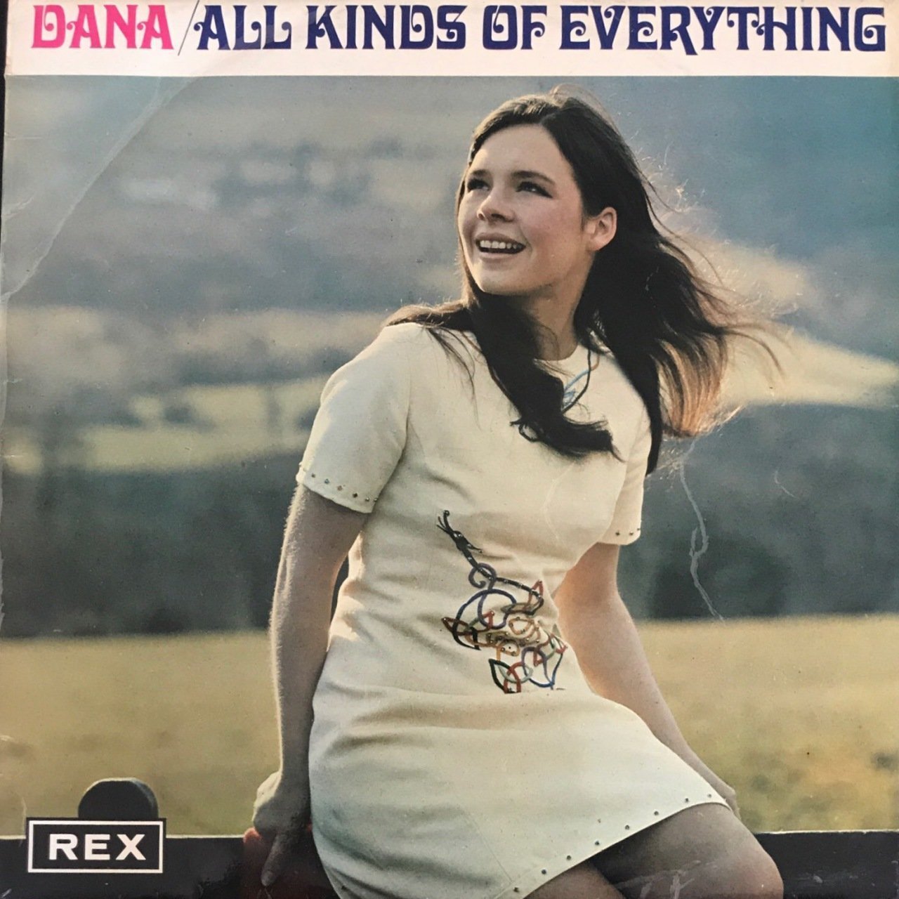 Dana All Kinds Of Everything LP