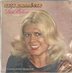 Neşe Karaböcek - Dost Bahçesi LP 1979
