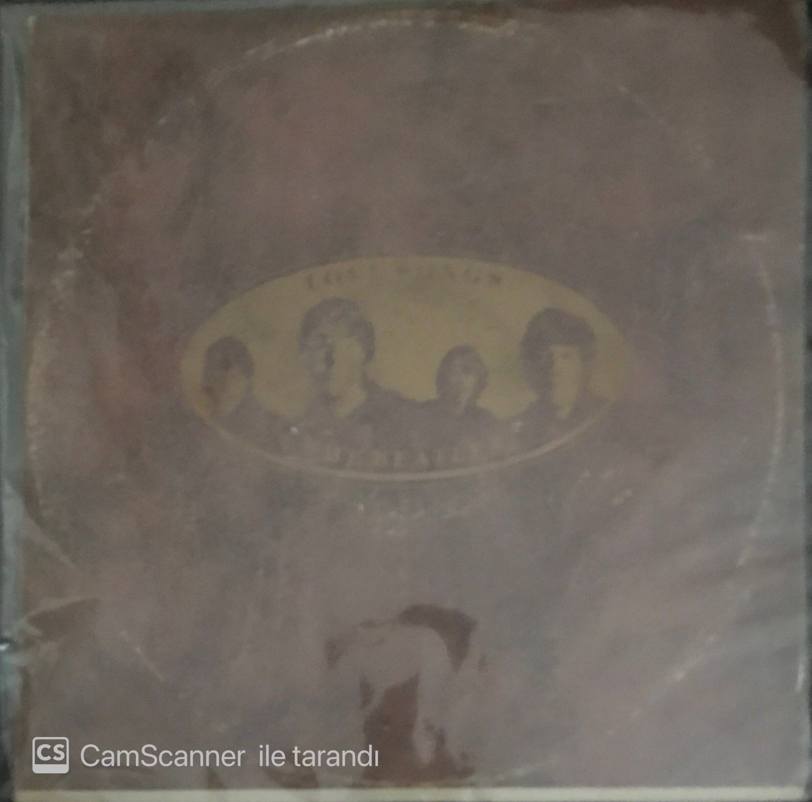 The Beatles Love Song Çift LP