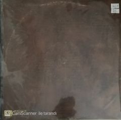 The Beatles Love Song Çift LP