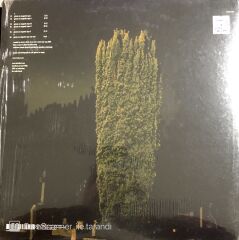 Bass Communion Ghosts on Magnetic Tape LP