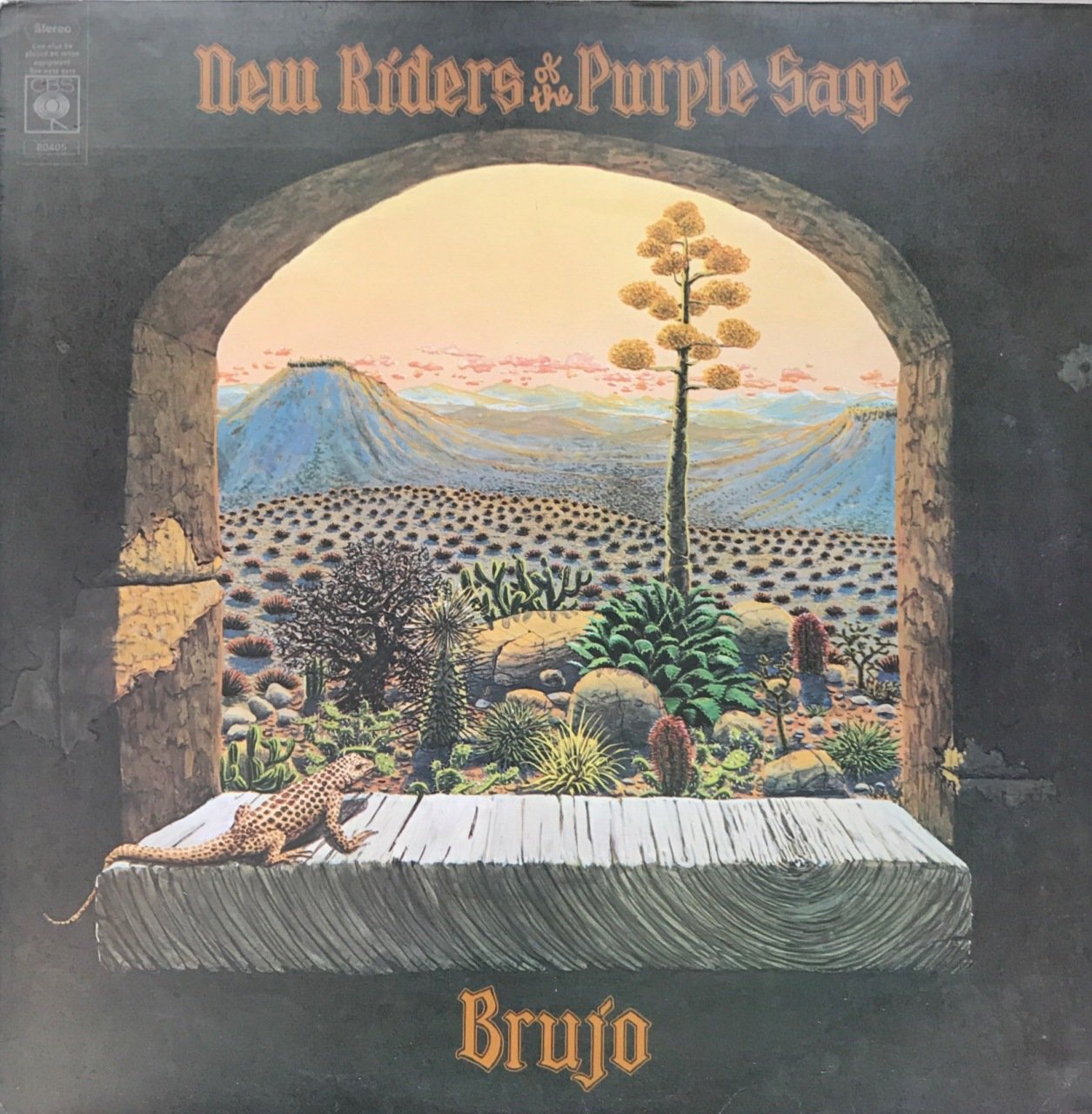 New Riders Of The Purple Sage Brujo LP