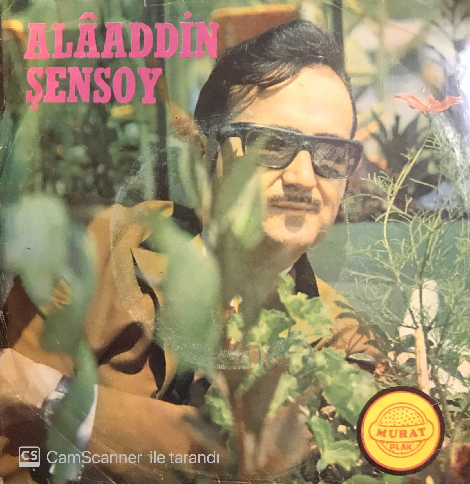 Alaaddin Şensoy / Sevmekten Kim Usanır 45'lik