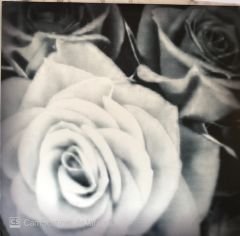 The Mountain Goats - All Eternals Deck LP