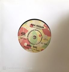 Ajda Pekkan Bang Bang 45lik