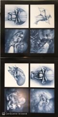 Iron Maiden The Final Frontier Double LP