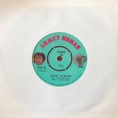 ahmet özhan sevn mevsimler gibisin