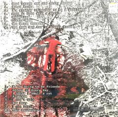 The White Stripes - White Blood Cells LP