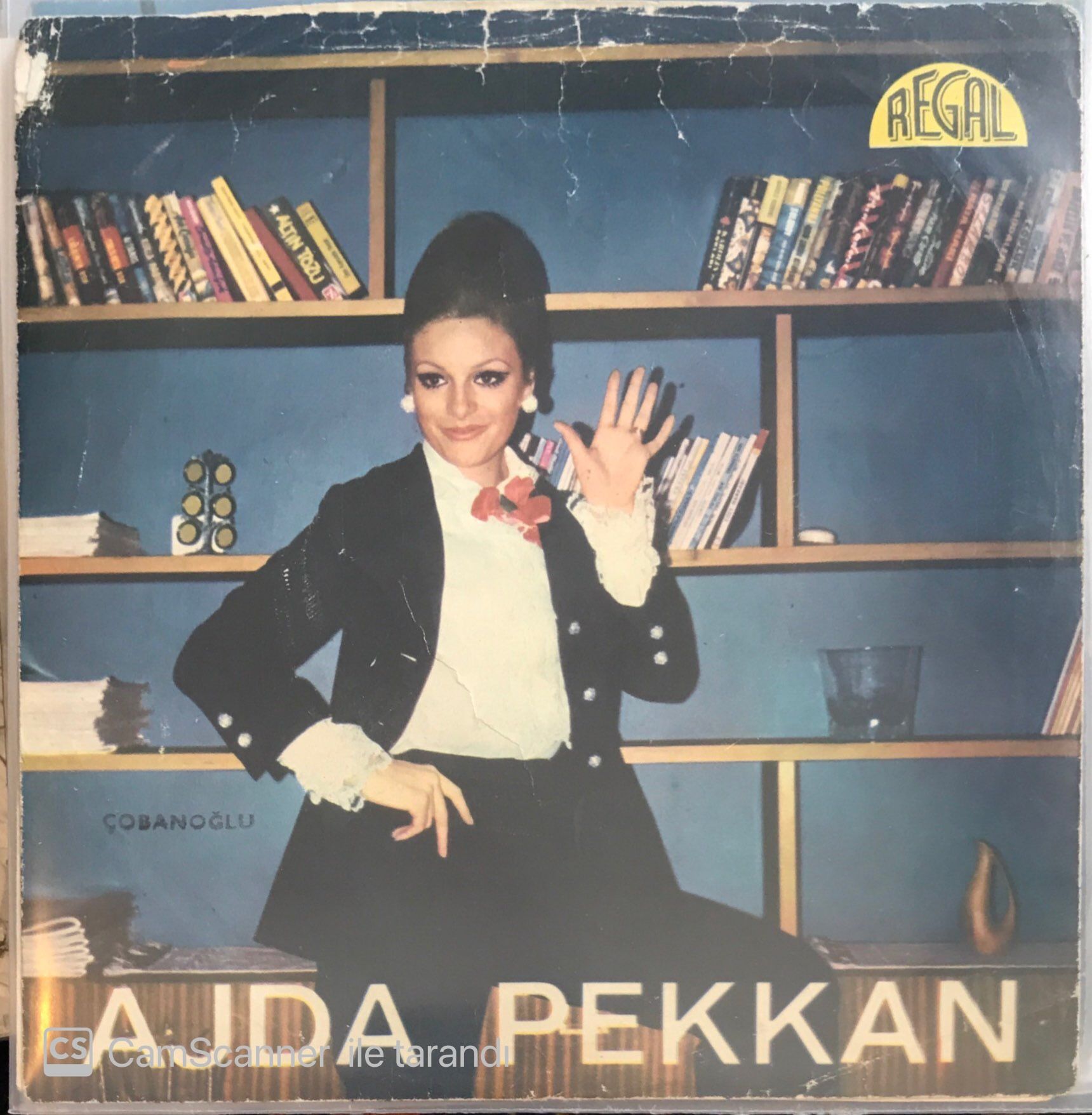 Ajda Pekkan Boşvermişim Dünyaya 45lik