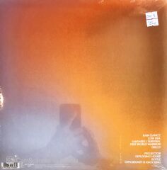 Geese Projector LP