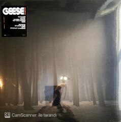 Geese Projector LP