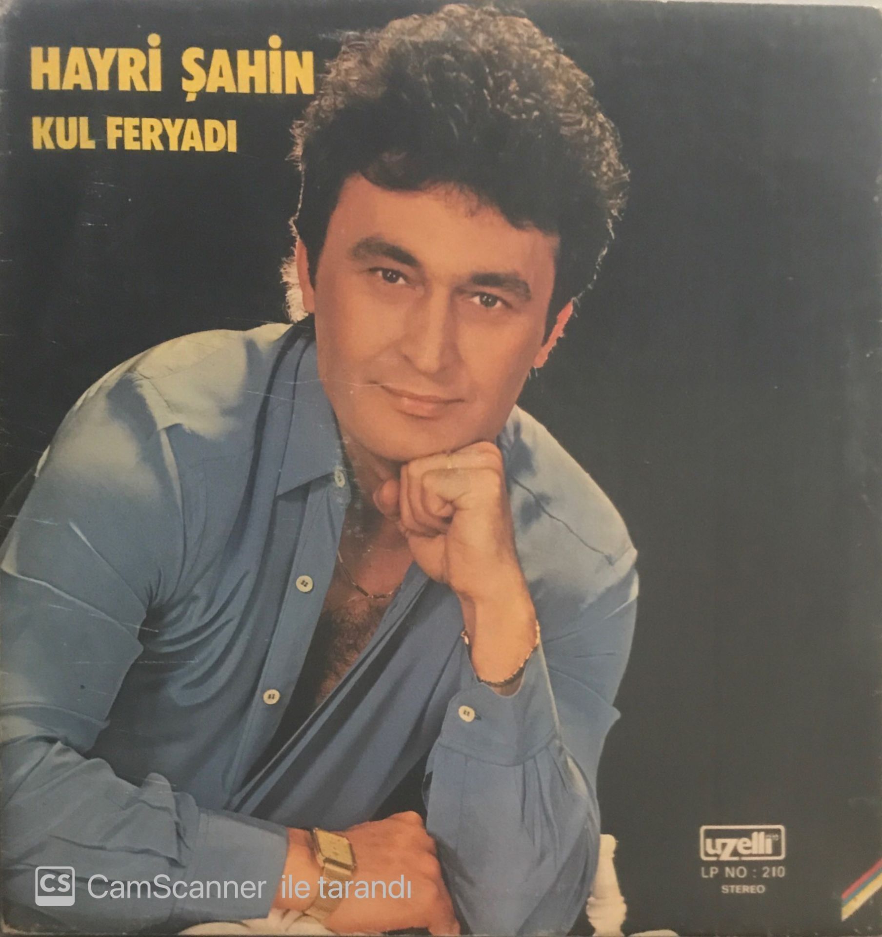 Hayri Şahin Kul Feryadı LP