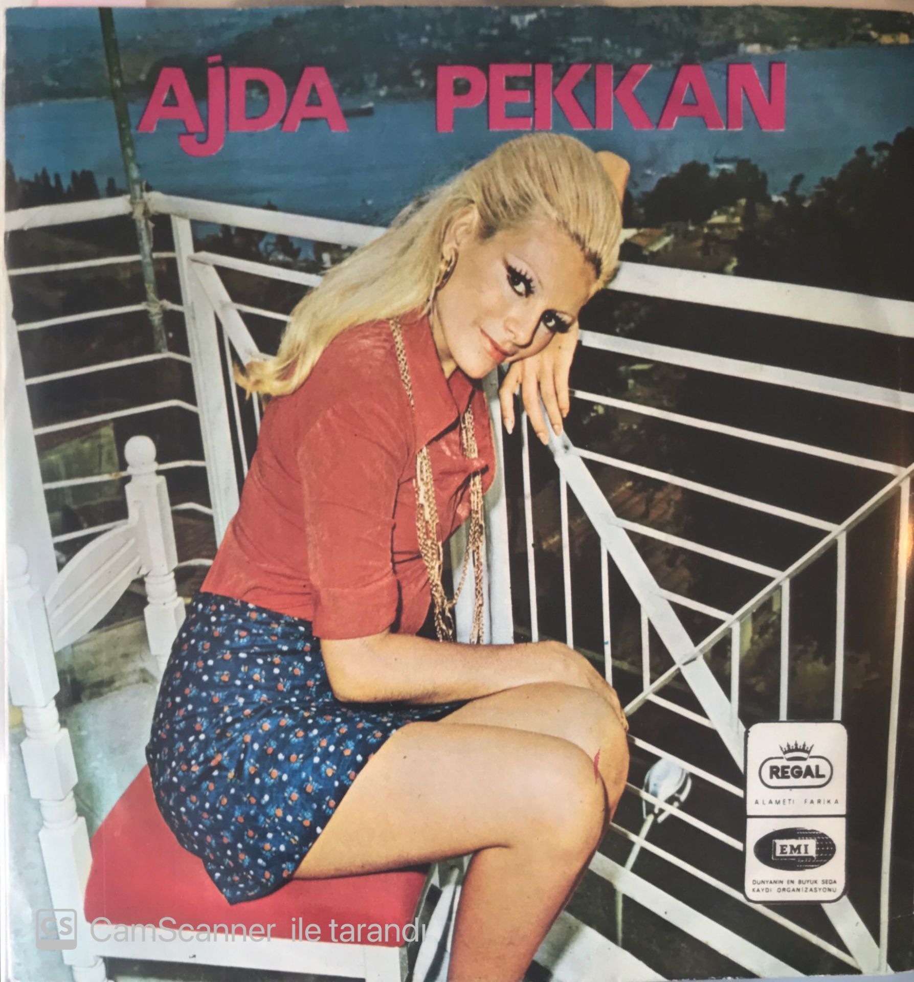 Ajda Pekkan Bang Bang 45lik