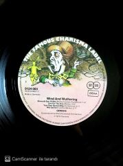 Genesis / Wind And Wuthering LP