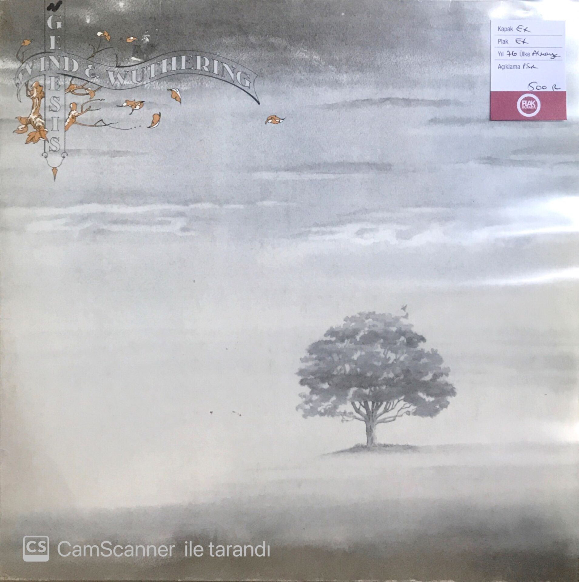 Genesis / Wind And Wuthering LP