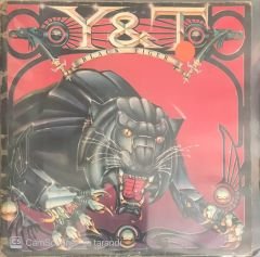 Y&T Black Tiger LP