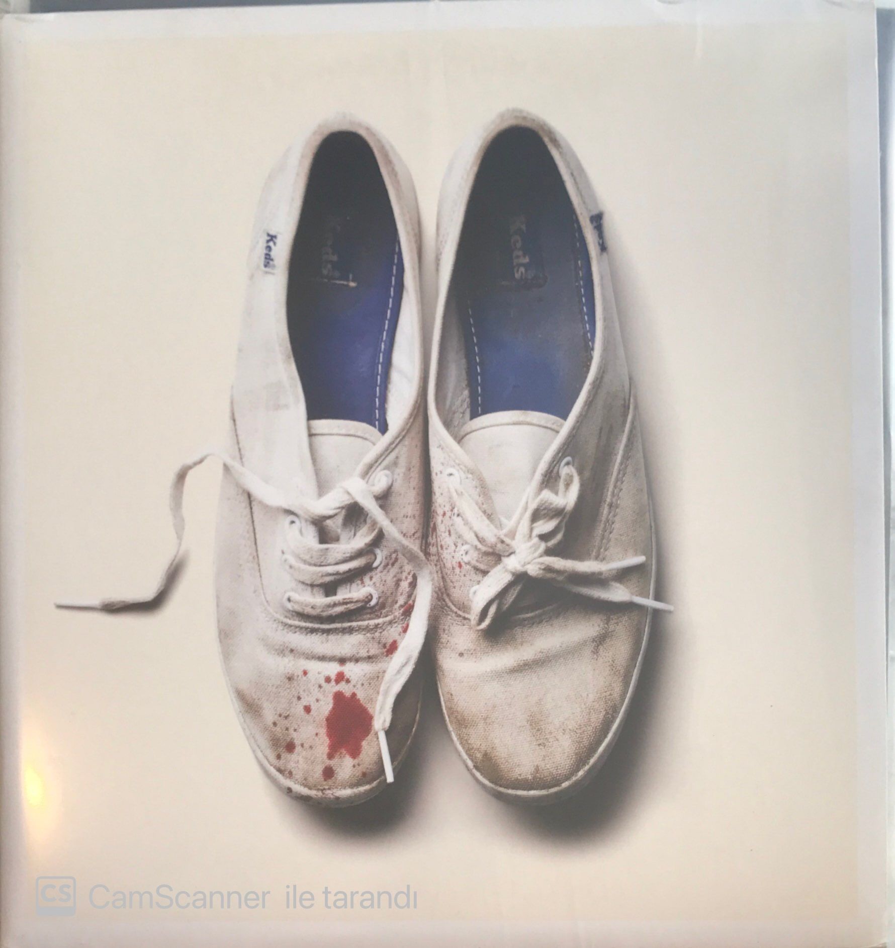 Sleigh Bells - Reign Of Terror LP (Kitapçıklı)