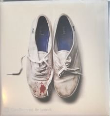 Sleigh Bells - Reign Of Terror LP (Kitapçıklı)