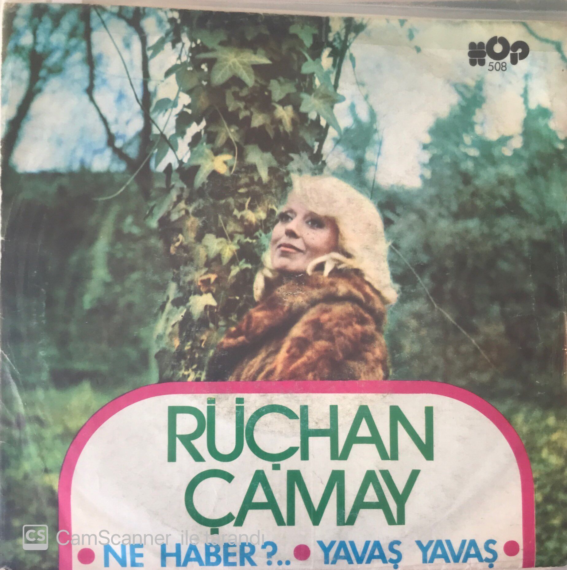 Rüçhan Çamay Ne Haber 45lik