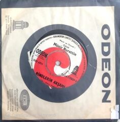 Münir Nurettin / Gönlümle Hasbihal 45'lik