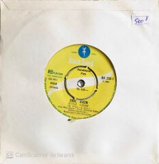 Erol Evgin - Söyle Canım/Hep Böyle Kal - 45'lik