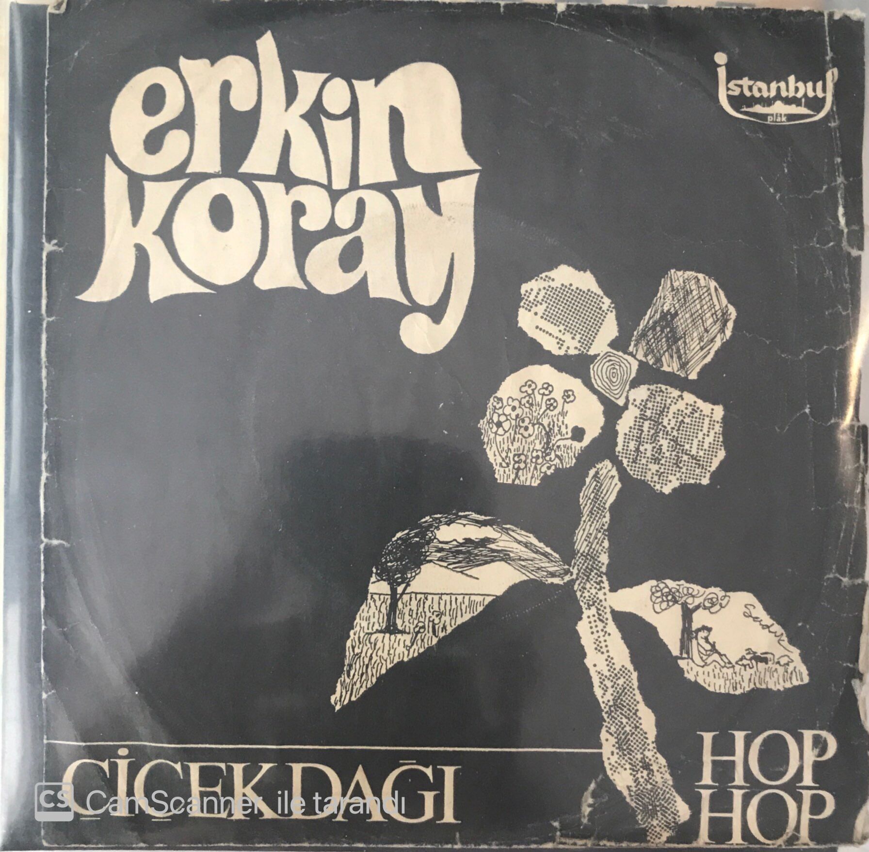Erkin Koray Çiçek Dağı 45lik