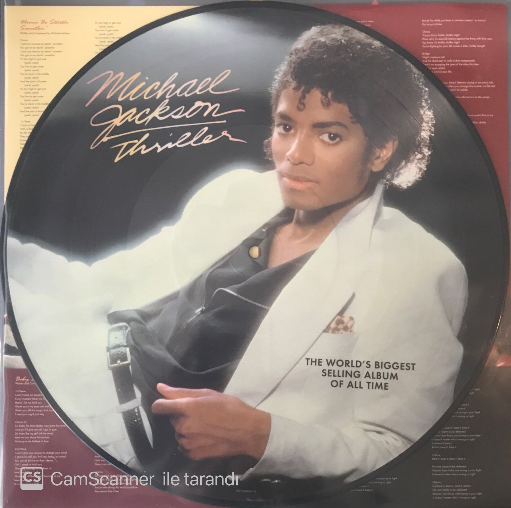 Michael Jackson Thriller Picture Disc LP