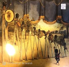 Neutral Milk Hotel in the Aeroplane over the Sea LP