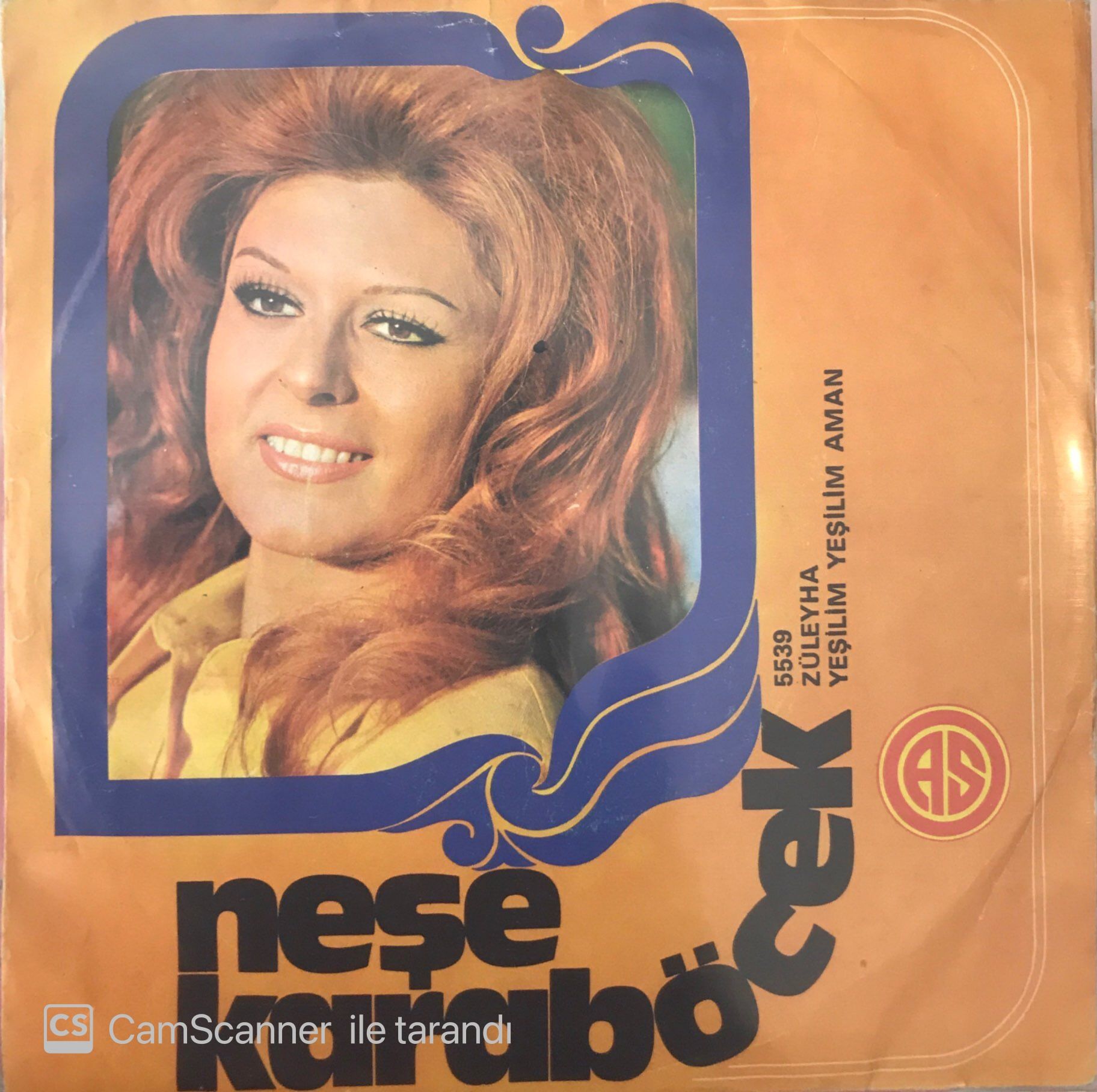 Neşe Karaböcek Züleyha 45lik