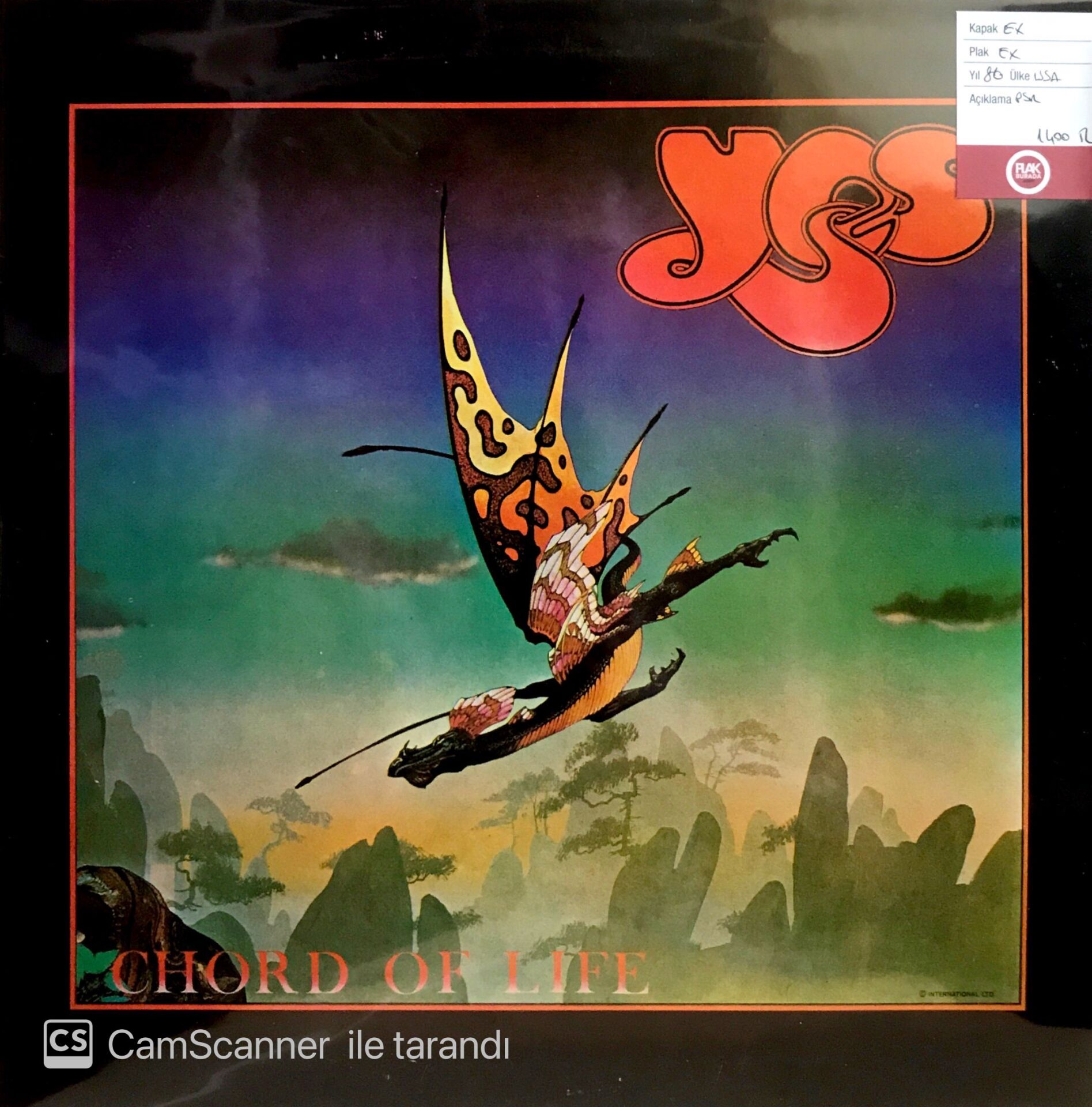 Yes / Chord Of Life Double LP