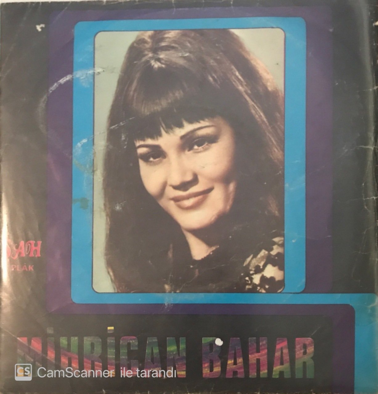 Mihrican Bahar Aşık Gülabi Gövdeli Yaylası 45lik