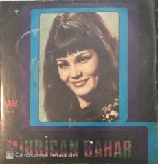 Mihrican Bahar Aşık Gülabi Gövdeli Yaylası 45lik