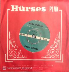 Ajda Pekkan / Sensiz Yıllarda 45'lik