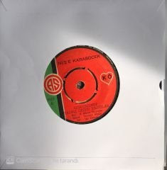 Neşe Karaböcek - Dört Mevsimde Sen 45lik