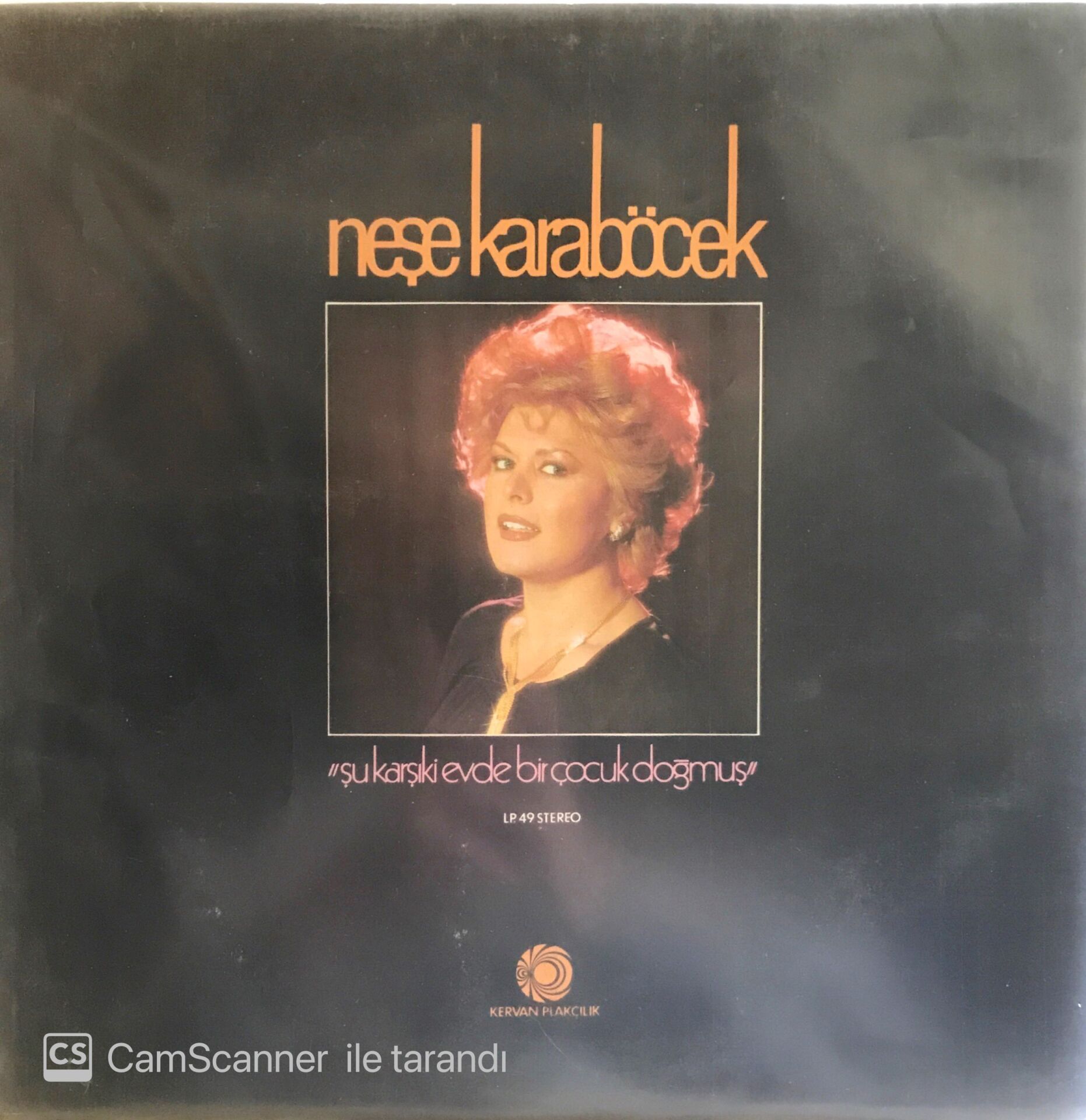 Neşe Karaböcek Şu Karşıki Evde Bir Çocuk Doğmuş LP