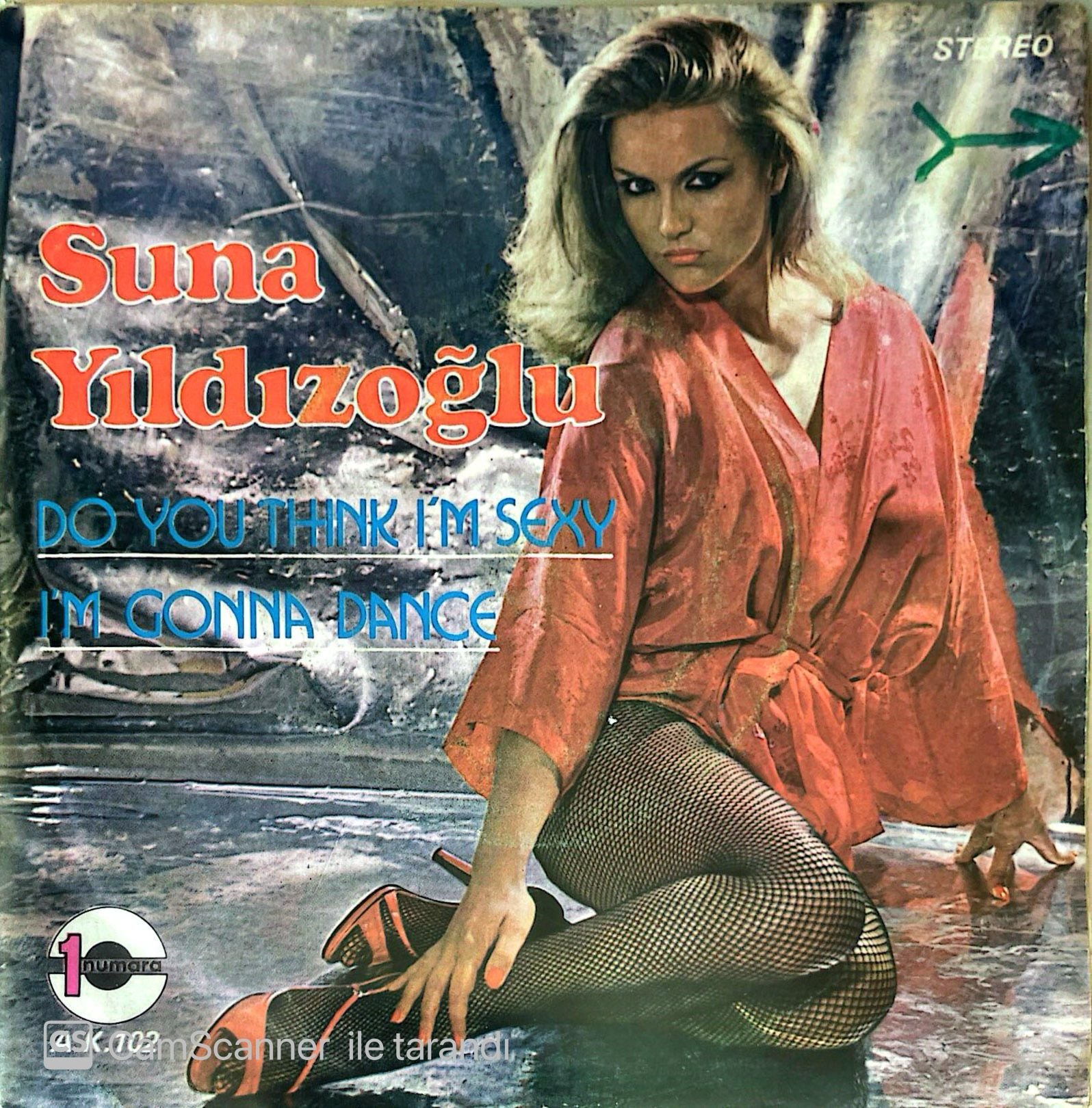 Suna Yıldızoğlu Do You Think I'm Sexy 45lik