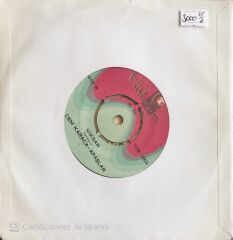 Cem Karaca & Apaşlar - Zeyno/Niksar - 45'lik