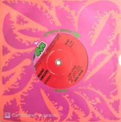 Enis Erge / Aşk Ateşi - Nazım Şerbetçioğlu / Hep Aldandım 45'lik