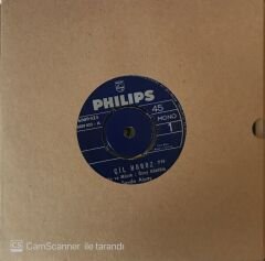 Sevda Alpay - Çil Horoz 45lik