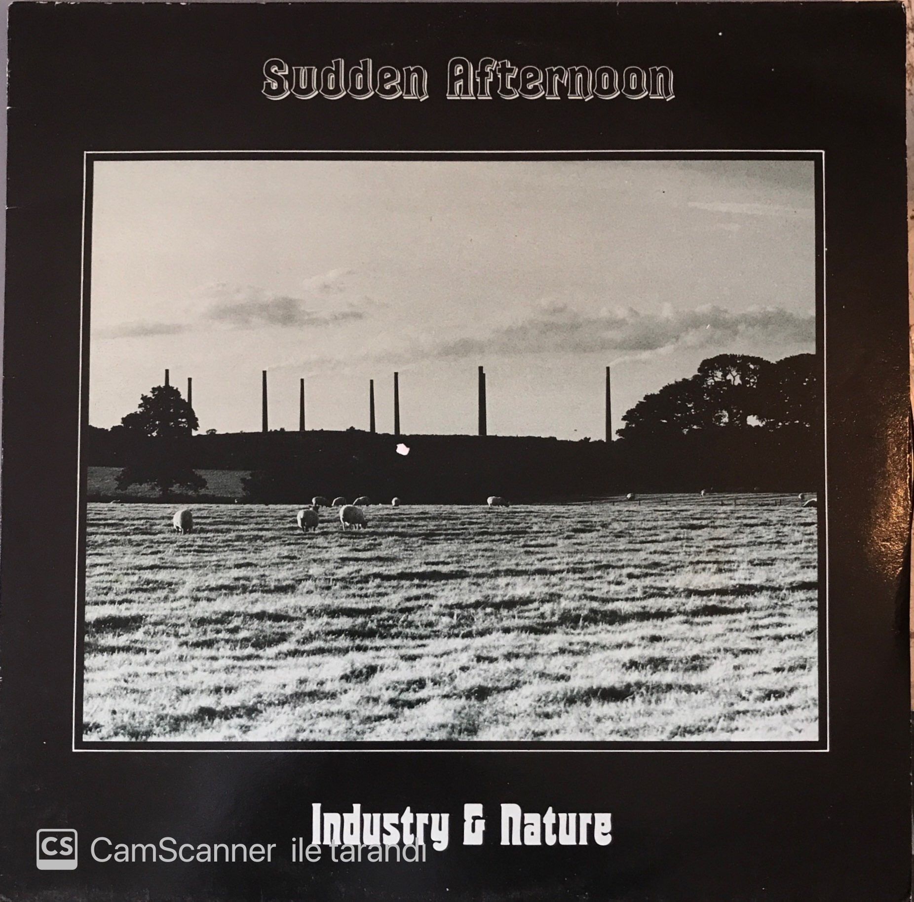 Sudden Afternoon - Industry & Nature MAXİ