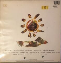 Eric Clapton Behind The Sun LP