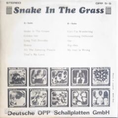 Snake In The Grass - LP
