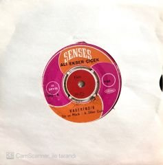 Ali Ekber Çiçek / Ali'nin Mektubu 45lik