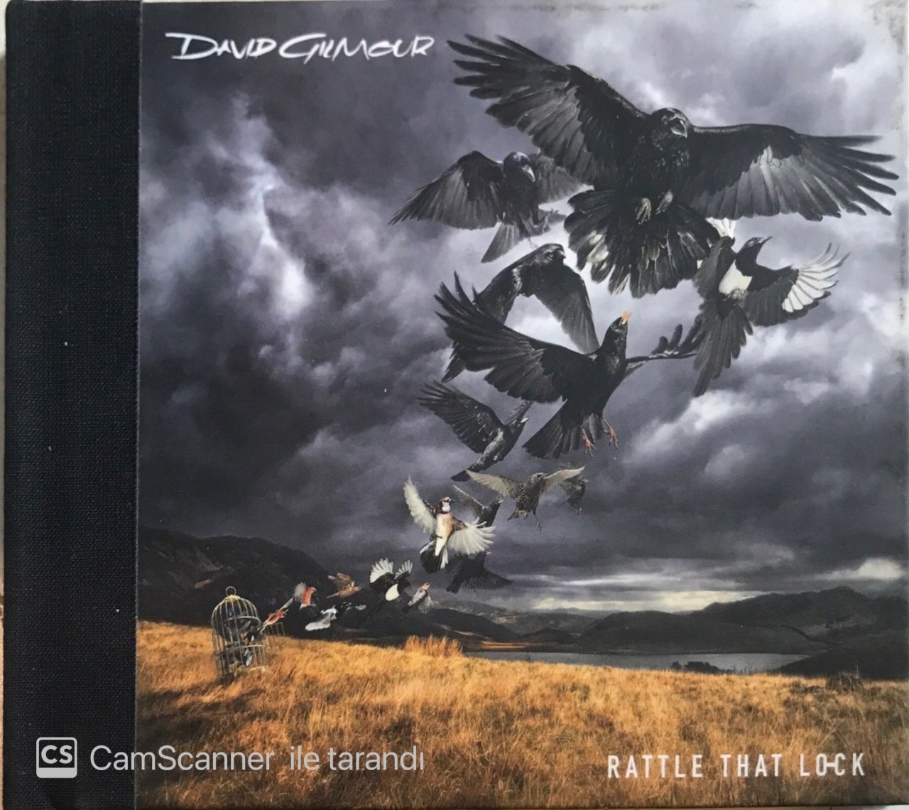 David Gilmour Rattle That Lock CD