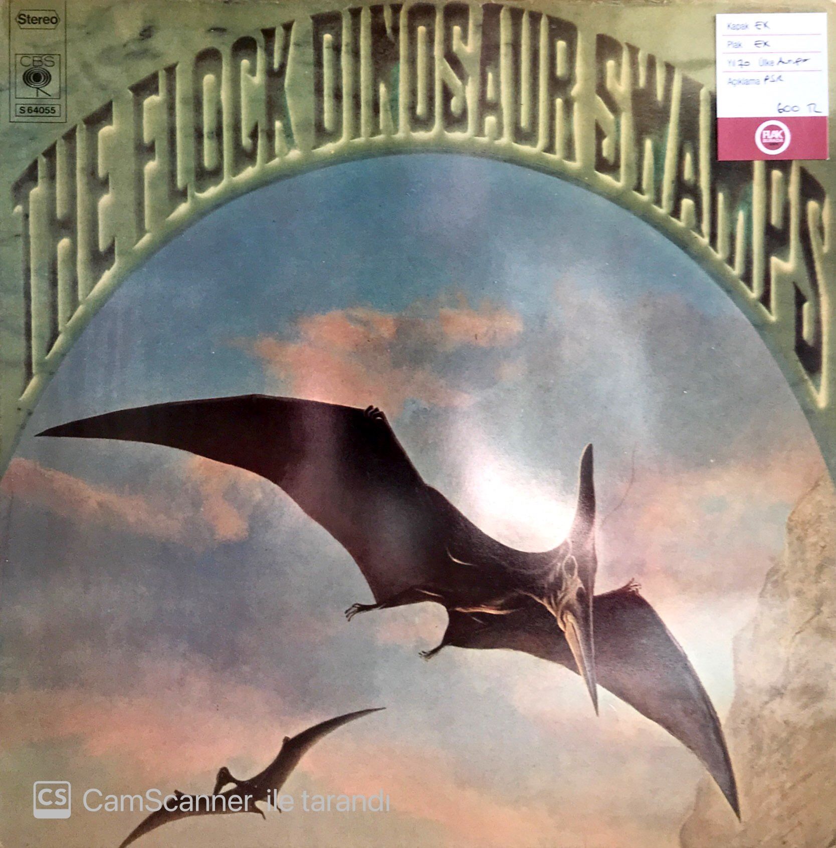 The Flock - Dinosaur Swamps LP